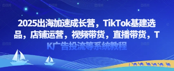 2025出海加速成长营，TikTok基建选品，店铺运营，视频带货，直播带货，TK广告投流等系统教程-玖哥网创