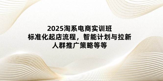 （14522期）2025淘系电商实训班：标准化起店流程，智能计划与拉新，人群推广策略等等-玖哥网创