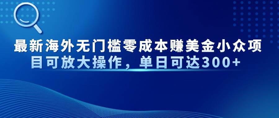 （14542期）最新海外无门槛零成本赚美金小众项目可放大操作，单日可达300+-玖哥网创