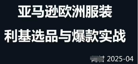 跨境电商选品案例24-25年，聚焦跨境电商选品策略与运营优化，助力卖家挖掘蓝海市场-玖哥网创
