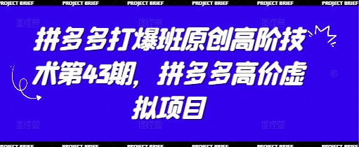 拼多多打爆班原创高阶技术第43期，拼多多高价虚拟项目-玖哥网创