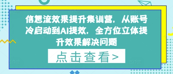 信息流效果提升集训营，从账号冷启动到AI提效，全方位立体提升效果解决问题-玖哥网创