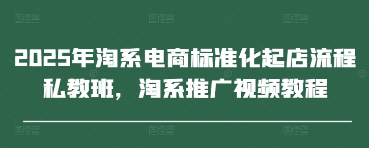2025年淘系电商标准化起店流程私教班，淘系推广视频教程-玖哥网创