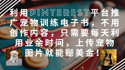 利用Pinterest平台推广宠物训练电子书，不用创作内容，只需要每天利用业余时间，上传宠物图片就能挣美金!-玖哥网创