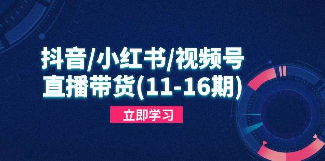 （14611期）抖音/小红书/视频号/直播带货(11-16期)，快速掌握平台规则，打造爆款内容-玖哥网创