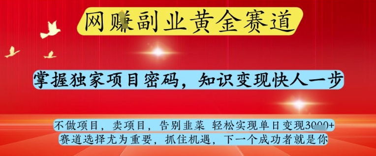 网创副业黄全赛道，掌握独家项目密码，知识变现快人一步，告别韭菜轻松实现单日变现1k+【揭秘】-玖哥网创