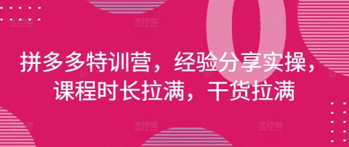 拼多多特训营，经验分享实操，课程时长拉满，干货拉满(更新25年4月)-玖哥网创