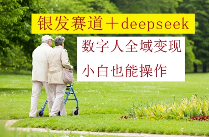 银发赛道+deepseek数字人全域变现，小白也能操作-玖哥网创