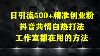 日引流500+精准创业粉，抖音共情自热打法，工作室都在用的方法-玖哥网创