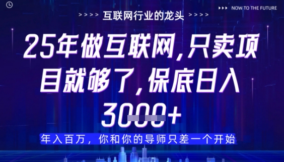 什么！25年你还在找项目做？风口早就变了，卖项目才是稳挣不赔【揭秘】-玖哥网创