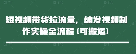 短视频带货拉流量，编发视频制作实操全流程(可搬运)-玖哥网创