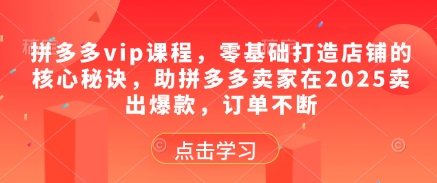 拼多多vip课程，零基础打造店铺的核心秘诀，助拼多多卖家在2025卖出爆款，订单不断-玖哥网创