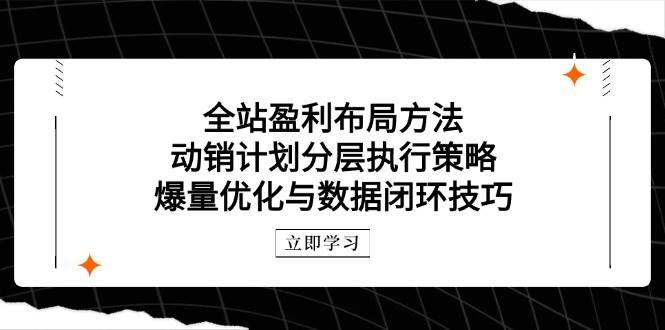 （14698期）全站盈利布局方法：动销计划分层执行策略，爆量优化与数据闭环技巧-玖哥网创