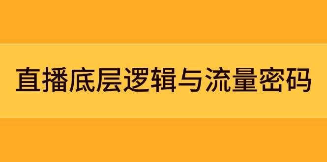（14695期）直播底层逻辑与流量密码：定位模型+案例拆解，急速流承接与数据优化全攻略-玖哥网创