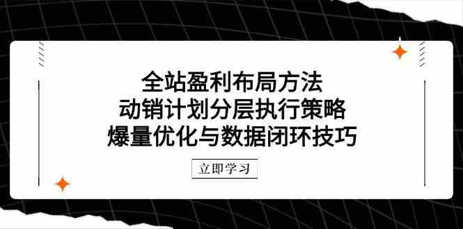 全站盈利布局方法：动销计划分层执行策略，爆量优化与数据闭环技巧-玖哥网创