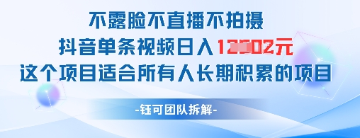 不露脸不直播不拍摄抖音单条视频日入1k+这个项目适合所有人长期积累的项目-玖哥网创