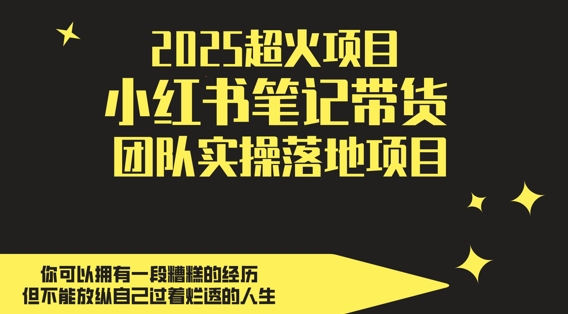 2025超火项目，副业最佳选择，小红书笔记带货团队实操落地项目，，轻松日入5张-玖哥网创