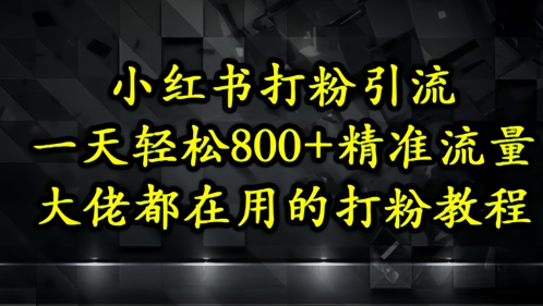 小红书打粉引流，一天轻松500+精准流量，大佬都在用的打粉教程-玖哥网创