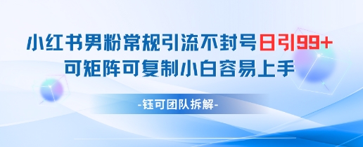 小红书男粉常规引流不封号日引99+变现简单 可矩阵可复制小白容易上手-玖哥网创
