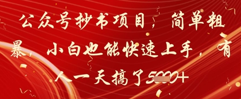 公众号抄书项目，简单粗暴，小白也能快速上手，有人一天搞了1k+-玖哥网创