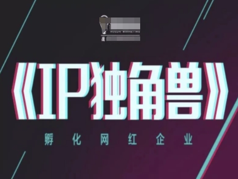 IP独角兽，孵化网红企业，ip教程-玖哥网创