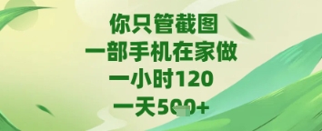 你只管截图，一部手机在家做，苹果安卓都可以，一天5张+【揭秘】-玖哥网创