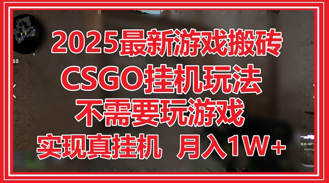 （14743期）2025最新游戏搬砖，CSGO挂机，不需要玩游戏，实现真挂机，月入1W+-玖哥网创