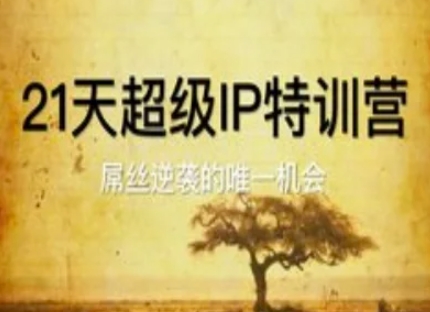 21天超级IP特训营，屌丝逆袭的唯一机会-玖哥网创