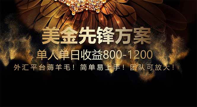 （14761期）免费技术！小众赛道！一年布局抵三年努力，每日800+-玖哥网创