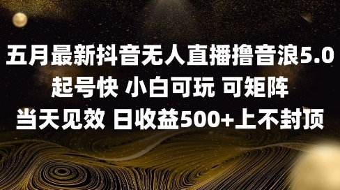 2025五月最新无人直播撸音浪单日产出5张+实操教程【揭秘】-玖哥网创