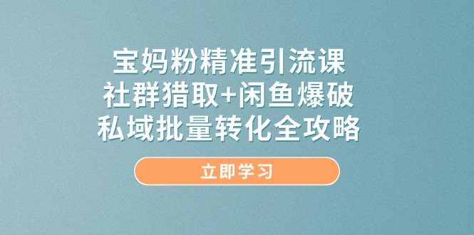（14820期）宝妈粉精准引流课，社群猎取+闲鱼爆破，私域批量转化全攻略-玖哥网创