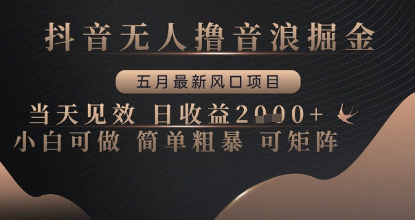 抖音无人撸音浪掘金，五月最新风口项目，当天见效，日收益多张，小白可做简单粗暴可矩阵【揭秘】-玖哥网创
