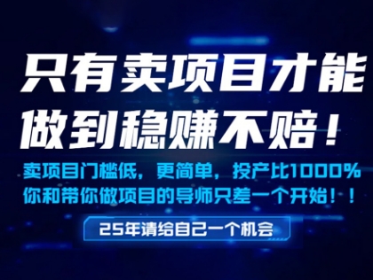 只有卖项目才能做到稳挣不赔，门槛低，更简单，你也可以年入百个W【揭秘】-玖哥网创