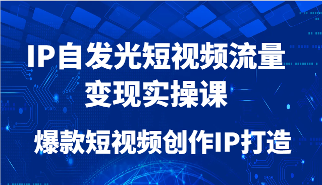 IP自发光短视频流量变现实操课，爆款短视频创作IP打造-玖哥网创