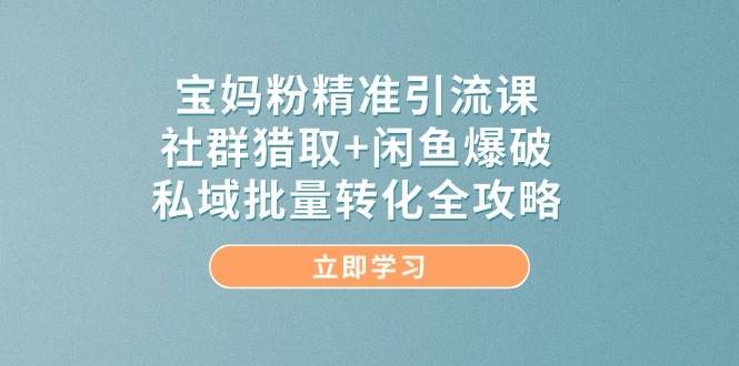 宝妈粉精准引流课，社群猎取+闲鱼爆破，私域批量转化全攻略-玖哥网创
