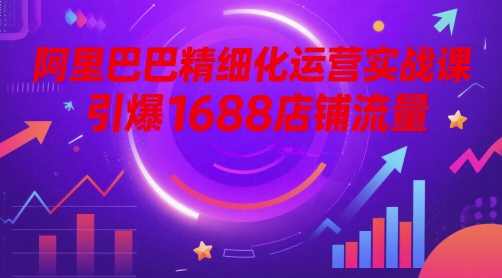 阿里巴巴精细化运营实战课，引爆1688店铺流量-玖哥网创