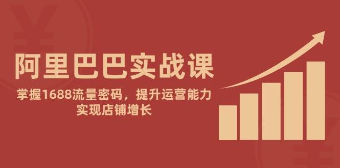 （14830期）阿里巴巴实战课：掌握1688流量密码，提升运营能力，实现店铺增长-玖哥网创
