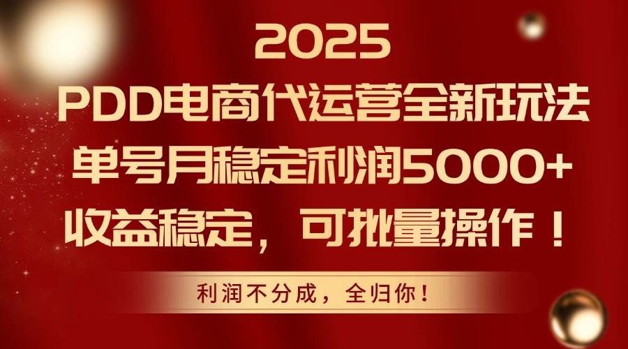 （14839期）2025PDD电商代运营全新玩法，单号月稳定利润5000+，收益稳定，可批量操作-玖哥网创