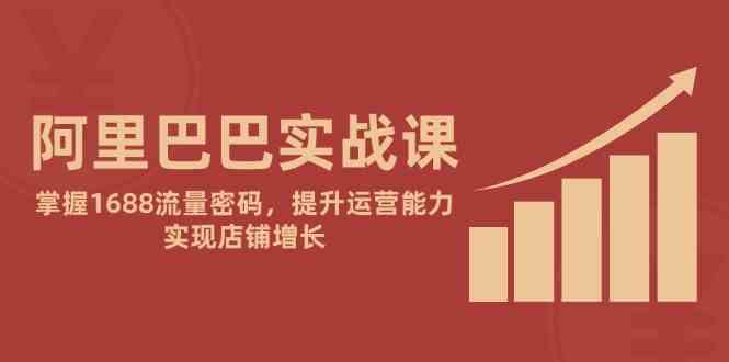 阿里巴巴实战课：掌握1688流量密码，提升运营能力，实现店铺增长-玖哥网创