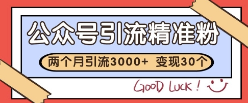 公众号精准粉引流玩法，2个月3000+精准粉，变现30个W【揭秘】-玖哥网创