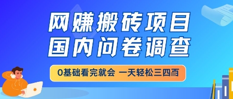网创搬砖项目，国内问卷调查，小白轻松上手，一天三四张的也不难，干就完了【揭秘】-玖哥网创