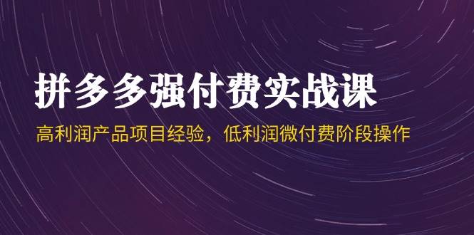 （14874期）拼多多强付费实战课-44期，高利润产品项目经验，低利润微付费阶段操作-玖哥网创