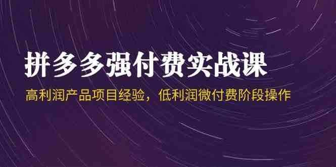 拼多多强付费实战课-44期，高利润产品项目经验，低利润微付费阶段操作-玖哥网创