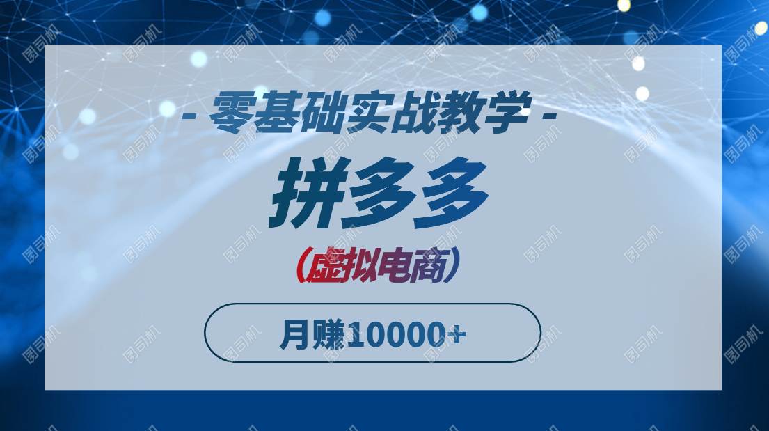 （14880期）拼多多虚拟电商，零基础实战教学，快速打爆商品，新手也能月入10000+-玖哥网创