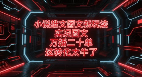 小说推文图文新玩法，实况图文，万播二十单，这转化太牛了！-玖哥网创