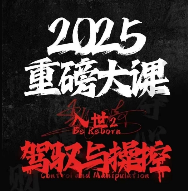 2025重磅大课，入世2，驾驭与控制-玖哥网创