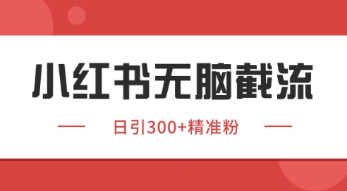 小红书截流同行客源，独家野路子获客玩法 日引200+暴力获客【揭秘】-玖哥网创