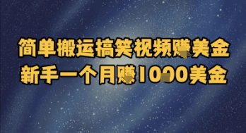 简单搬运搞笑视频挣美金，新手一个月入1k美金-玖哥网创