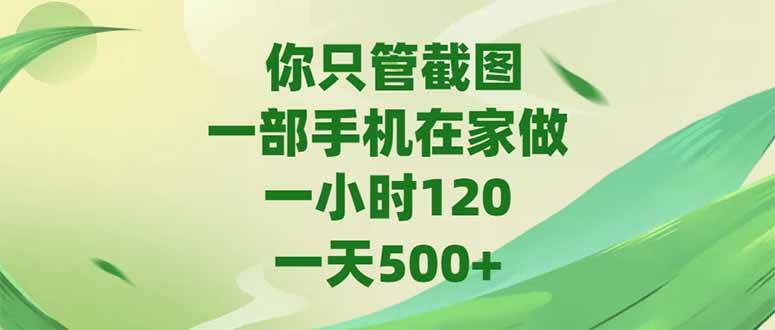 （15039期）你只管截图，一部手机在家做，一小时120，-天500+-玖哥网创