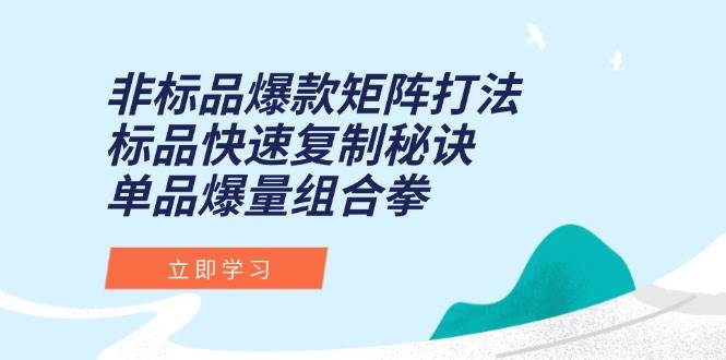 （15068期）非标品爆款矩阵打法，标品快速复制秘诀，单品爆量组合拳-玖哥网创